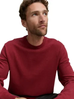 Tom Tailor Pullover & Sweatshirts|Big Boys*Basic Strickpullover aus Baumwolle dark samba red melange