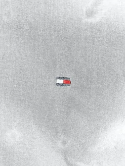 Tommy Hilfiger Hemden|Big Boys*CORE CL FLEX POPLIN SF SHIRT Black