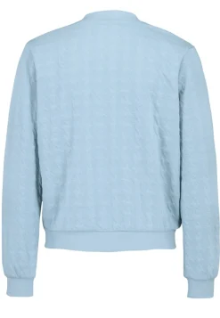Eight 2 Nine Pullover & Sweatshirts*DOB Bomberjacke in jacquard sweat,langarm,Rippbündchen+Stehkragen sky grey blue