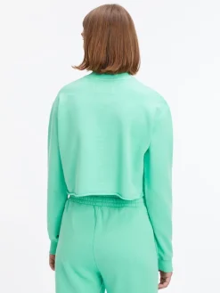 Calvin Klein Jeans Pullover & Sweatshirts*EMBROIDERED MONOLOGO SWEATSHIRT neptunes wave