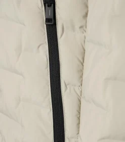 CASAMODA Jacken|Big Boys*Jacke Beige