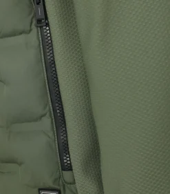 CASAMODA Jacken|Big Boys*Jacke Grün