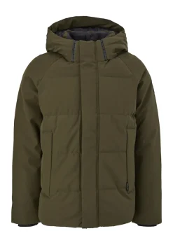 QS Jacken*Jacke olive