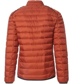 CASAMODA Jacken|Big Boys*Jacke Orange