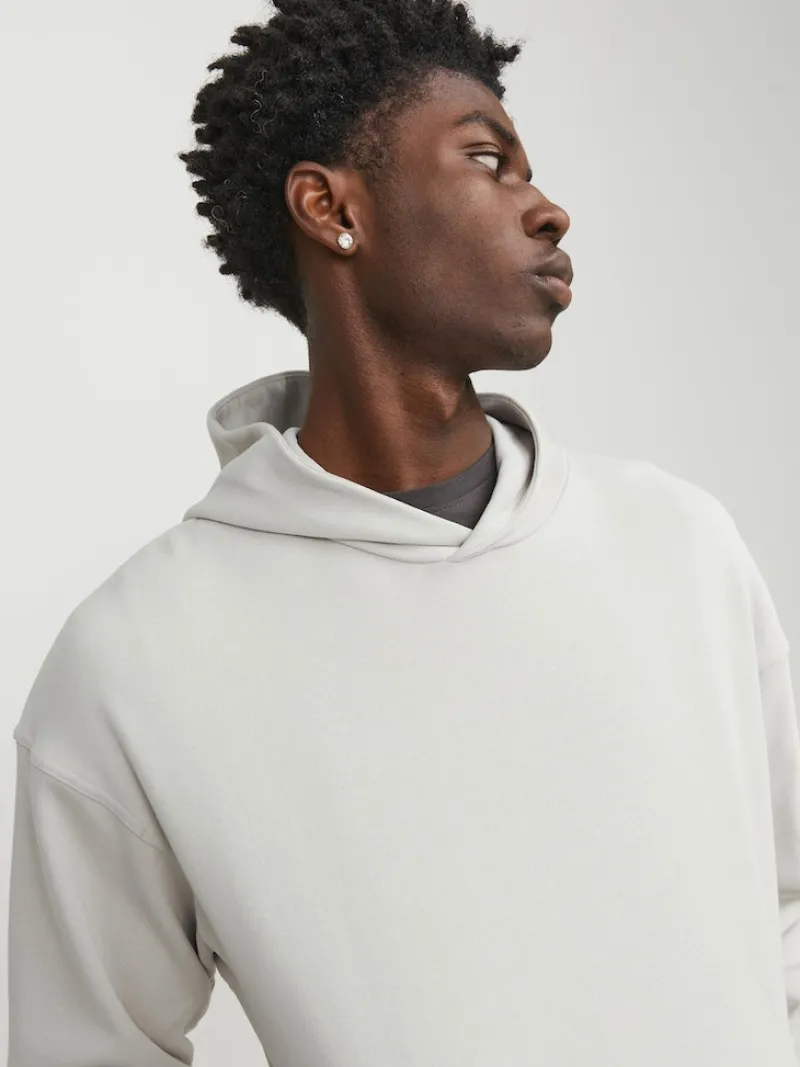 Jack & Jones Pullover & Sweatshirts*JCOCOLLECTIVE SWEAT HOOD NOOS moonbeam