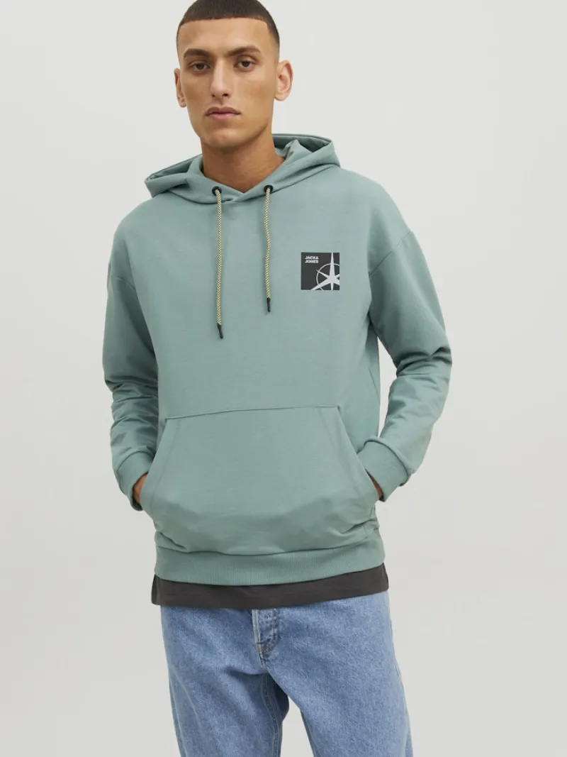 Jack & Jones Pullover & Sweatshirts*JCOFILO SWEAT HOOD SN trellis