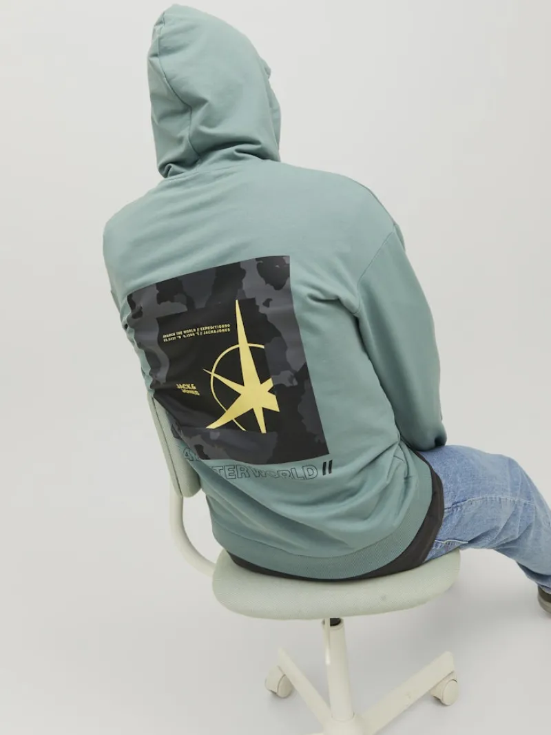 Jack & Jones Pullover & Sweatshirts*JCOFILO SWEAT HOOD SN trellis