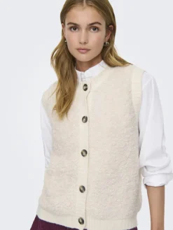 JDY Pullover & Sweatshirts*EIRA LIFE S/L ON BUTTON VEST KNT NOOS birch