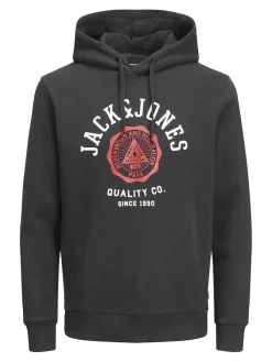 Jack & Jones Pullover & Sweatshirts*JJELOGO SWEAT HOOD 2 COL 22/23 NOOS Black