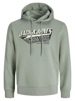 Jack & Jones Pullover & Sweatshirts*JJELOGO SWEAT HOOD 2 COL 25/26 NOOS iceberg green