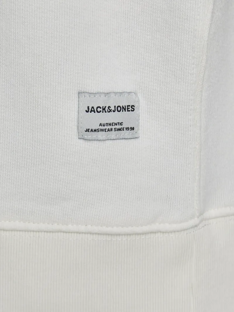 Jack & Jones Pullover & Sweatshirts*JJEORGANIC BASIC SWEAT CREW NECK NOOS Cloud Dancer