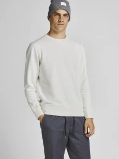 Jack & Jones Pullover & Sweatshirts*JJEORGANIC BASIC SWEAT CREW NECK NOOS Cloud Dancer