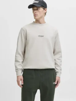 Jack & Jones Pullover & Sweatshirts*JJESOHO SWEAT CREW NECK NOOS moonbeam