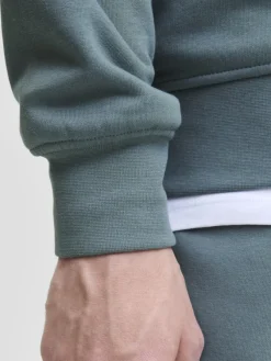 Jack & Jones Pullover & Sweatshirts*JJESOHO SWEAT CREW NECK NOOS Stormy Weather