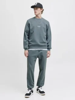 Jack & Jones Pullover & Sweatshirts*JJESOHO SWEAT CREW NECK NOOS Stormy Weather