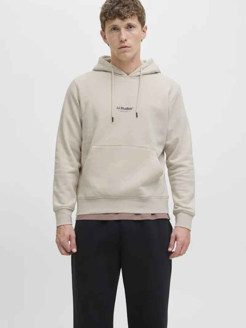 Jack & Jones Pullover & Sweatshirts*JJESOHO SWEAT HOOD NOOS moonbeam