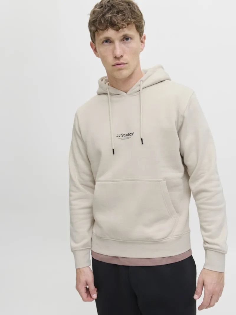 Jack & Jones Pullover & Sweatshirts*JJESOHO SWEAT HOOD NOOS moonbeam