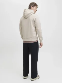 Jack & Jones Pullover & Sweatshirts*JJESOHO SWEAT HOOD NOOS moonbeam