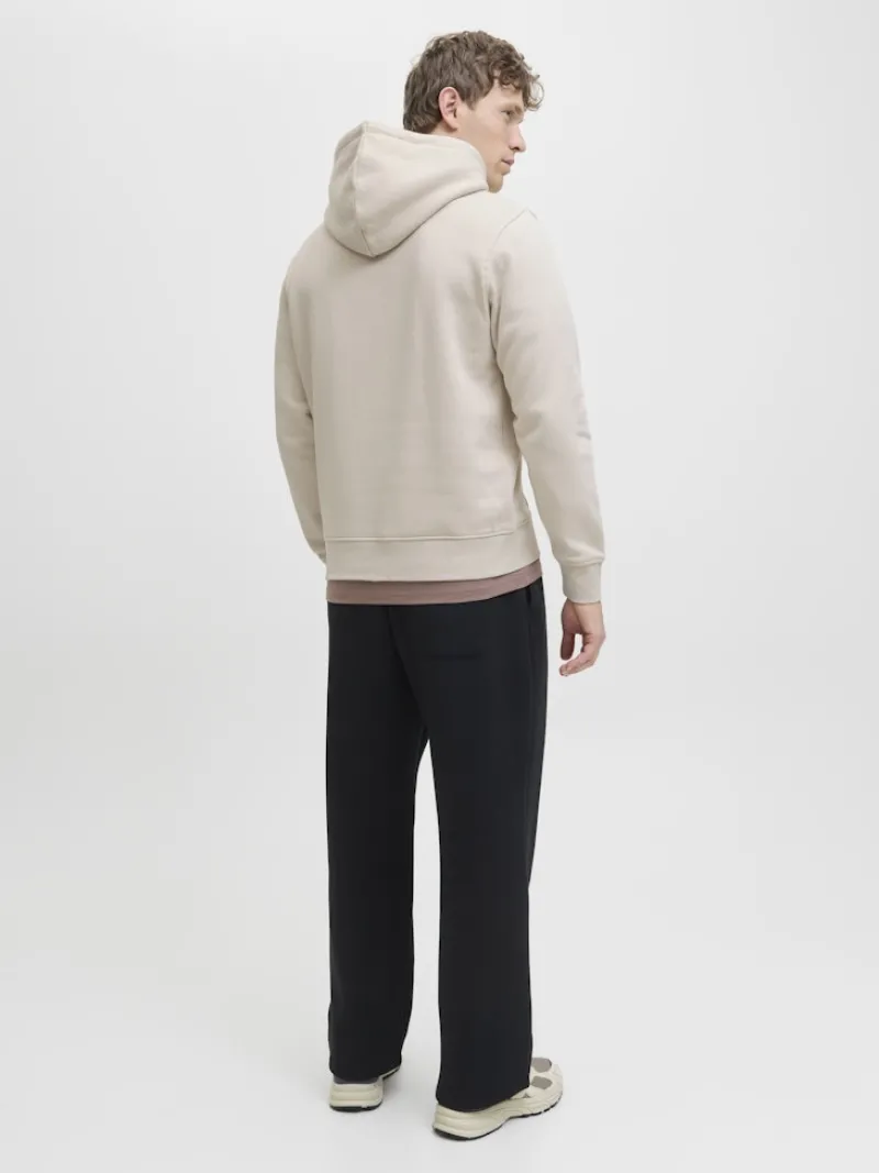 Jack & Jones Pullover & Sweatshirts*JJESOHO SWEAT HOOD NOOS moonbeam