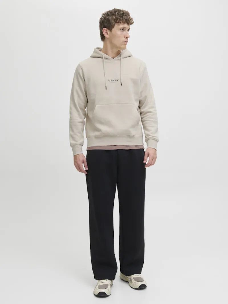 Jack & Jones Pullover & Sweatshirts*JJESOHO SWEAT HOOD NOOS moonbeam