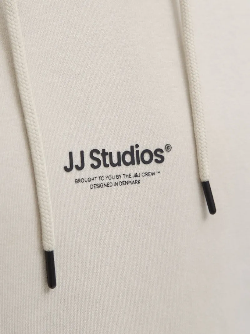 Jack & Jones Pullover & Sweatshirts*JJESOHO SWEAT HOOD NOOS moonbeam