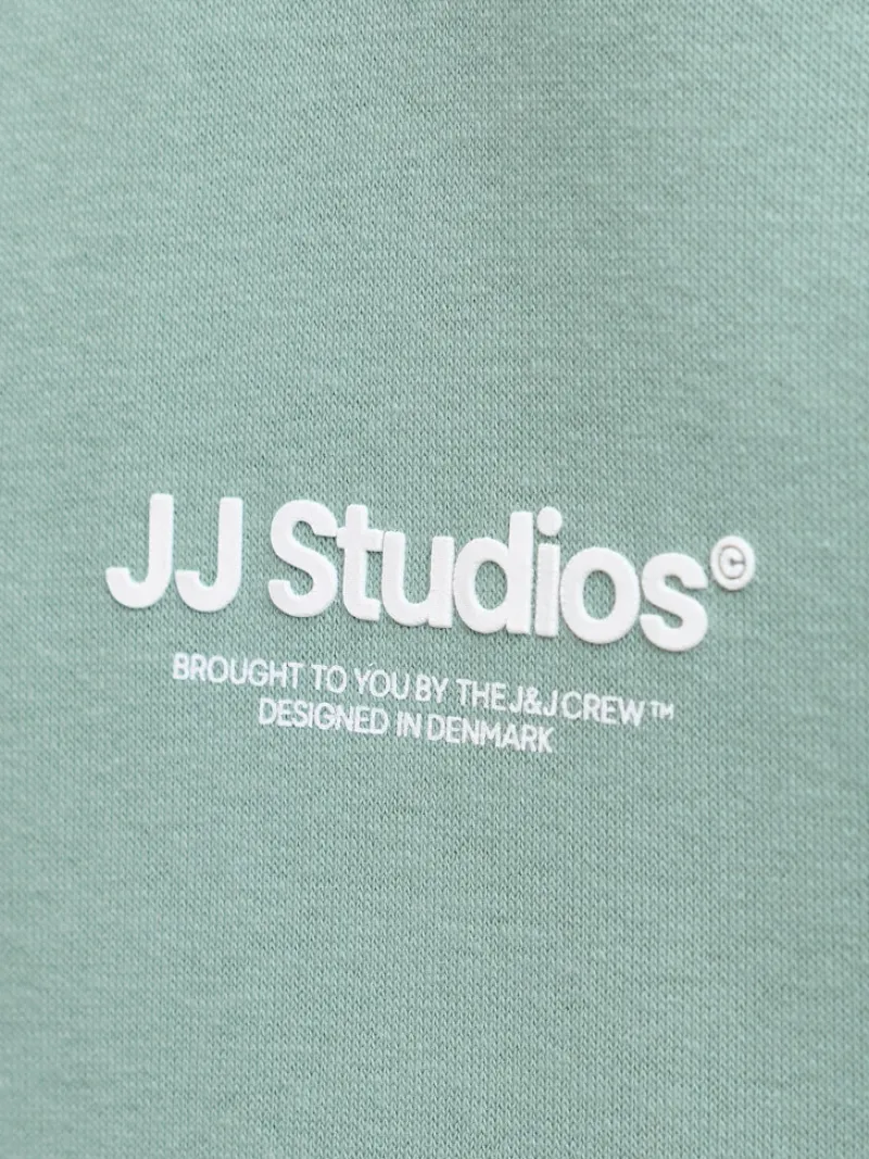 Jack & Jones Pullover & Sweatshirts*JJESOHO SWEAT HOOD NOOS mineral blue