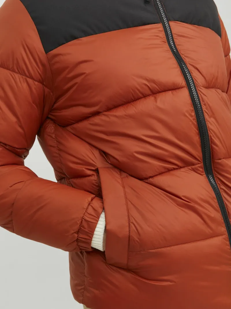 Jack & Jones Jacken*JJETOBY PUFFER COLLAR SN Picante