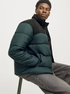Jack & Jones Jacken*JJMOON STAND COLLAR PUFFER Magical Forest