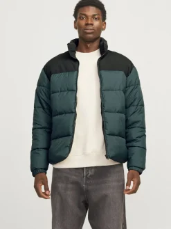 Jack & Jones Jacken*JJMOON STAND COLLAR PUFFER Magical Forest