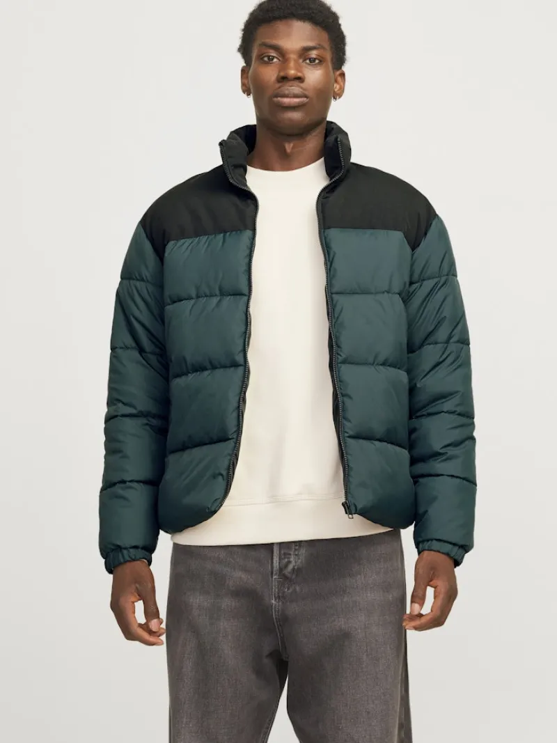 Jack & Jones Jacken*JJMOON STAND COLLAR PUFFER Magical Forest