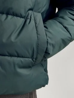 Jack & Jones Jacken*JJMOON STAND COLLAR PUFFER Magical Forest