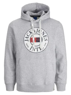 Jack & Jones Pullover & Sweatshirts*JORINTERNATIONAL SWEAT HOOD LN Light Grey Melange