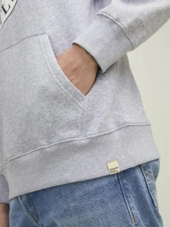 Jack & Jones Pullover & Sweatshirts*JORINTERNATIONAL SWEAT HOOD LN Light Grey Melange