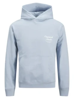 Jack & Jones Pullover & Sweatshirts*JORNORREBRO TYPO BACK SWEAT HOOD SN skyway