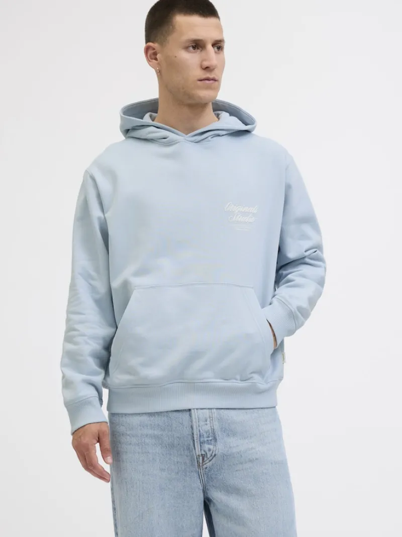 Jack & Jones Pullover & Sweatshirts*JORNORREBRO TYPO BACK SWEAT HOOD SN skyway