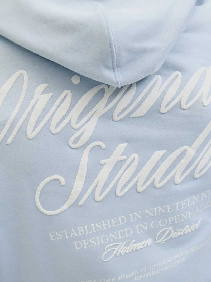 Jack & Jones Pullover & Sweatshirts*JORNORREBRO TYPO BACK SWEAT HOOD SN skyway