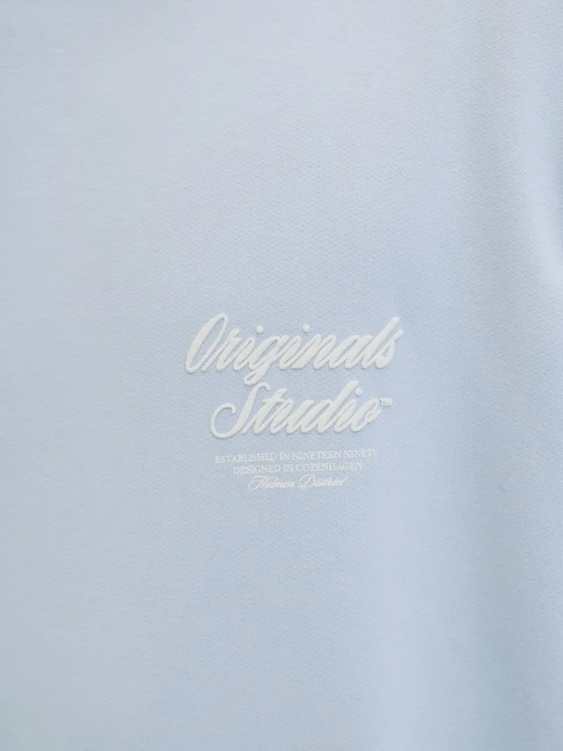 Jack & Jones Pullover & Sweatshirts*JORNORREBRO TYPO BACK SWEAT HOOD SN skyway