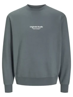 Jack & Jones Pullover & Sweatshirts*JORVESTERBRO SWEAT CREW NECK NOOS Stormy Weather