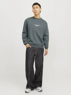 Jack & Jones Pullover & Sweatshirts*JORVESTERBRO SWEAT CREW NECK NOOS Stormy Weather