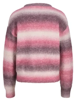 JJXX Pullover & Sweatshirts*JXAMIRA CREW NECK KNIT LN barberry