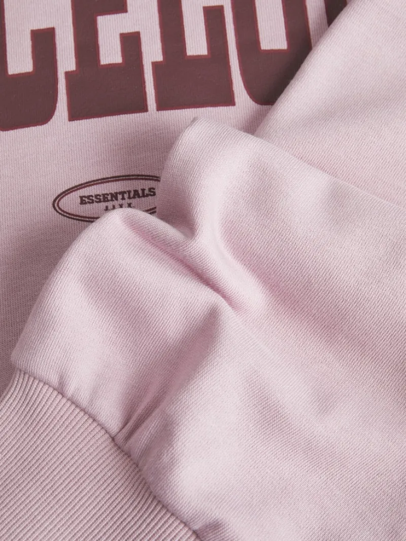 JJXX Pullover & Sweatshirts*JXMERLE SPRING RLX SHORT LS CREW SWT LN mauve shadows