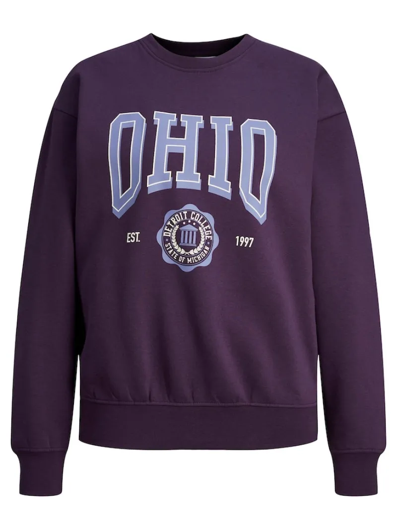JJXX Pullover & Sweatshirts*JXOHIO RLX LS CREW SWT purple velvet