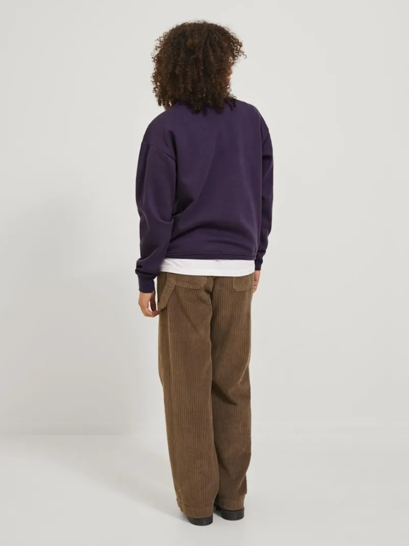 JJXX Pullover & Sweatshirts*JXOHIO RLX LS CREW SWT purple velvet