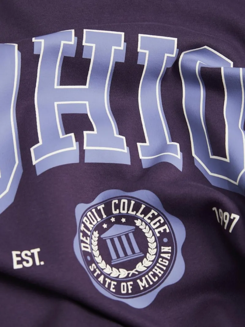 JJXX Pullover & Sweatshirts*JXOHIO RLX LS CREW SWT purple velvet