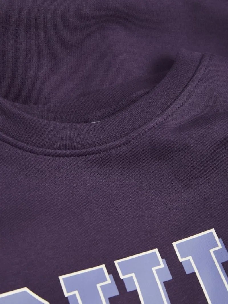 JJXX Pullover & Sweatshirts*JXOHIO RLX LS CREW SWT purple velvet
