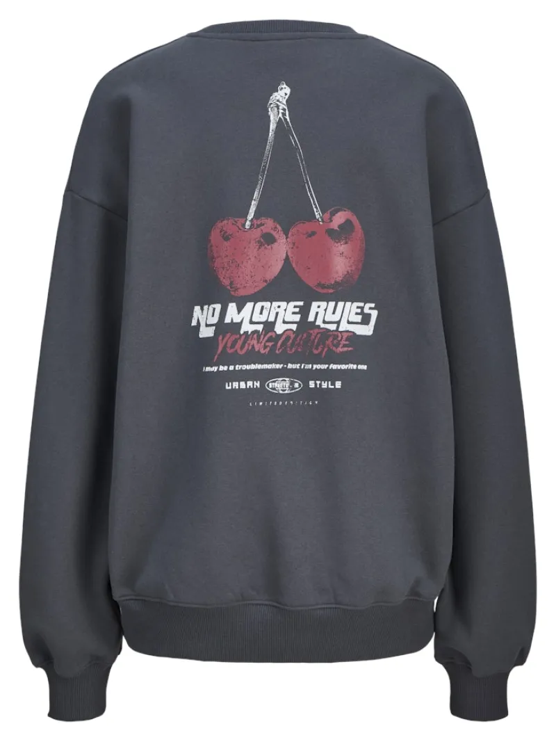 JJXX Pullover & Sweatshirts*JXSANDRA RLX LS CREW SWT Asphalt