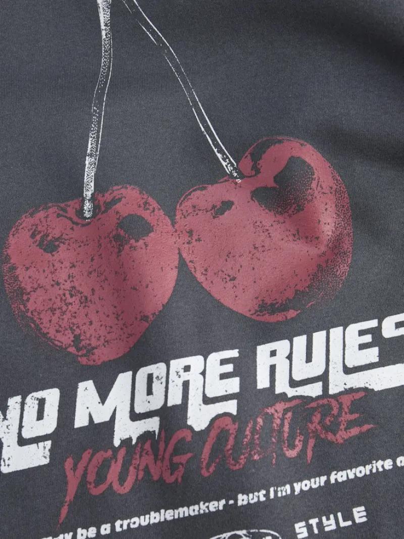 JJXX Pullover & Sweatshirts*JXSANDRA RLX LS CREW SWT Asphalt