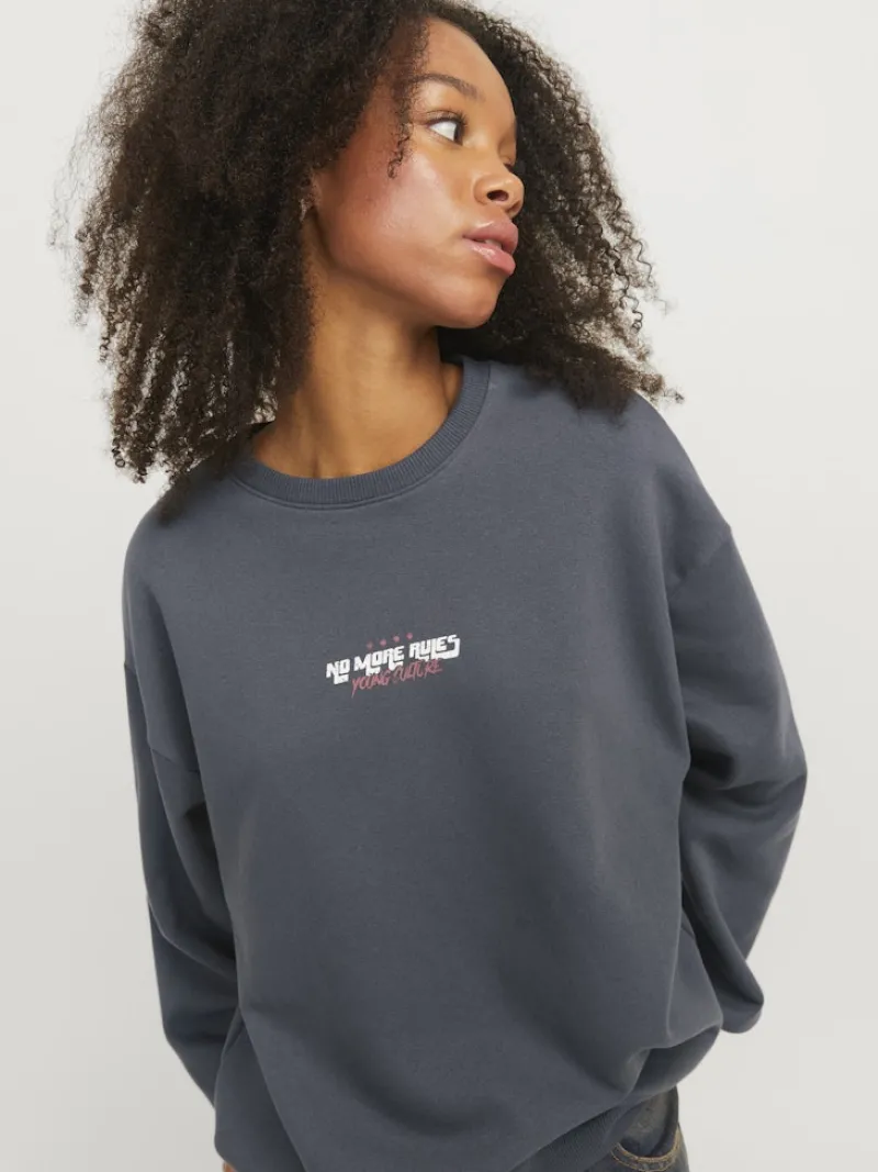 JJXX Pullover & Sweatshirts*JXSANDRA RLX LS CREW SWT Asphalt