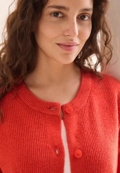 Cecil Pullover & Sweatshirts*Kurzer Cardigan juicy orange melange