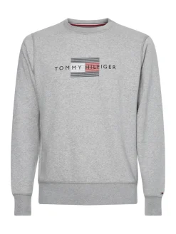 Tommy Hilfiger Pullover & Sweatshirts*LINES HILFIGER CREWNECK light grey heather